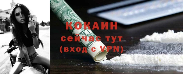мдпв Пересвет