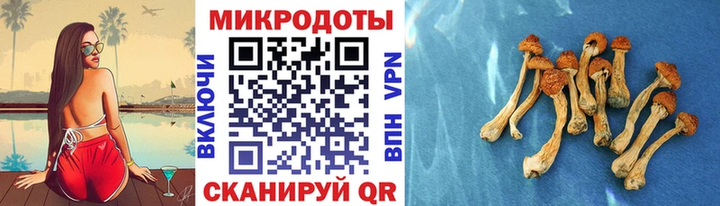 Псилоцибиновые грибы прущие грибы  сайты даркнета формула  Нижняя Салда 